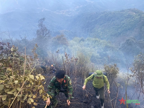 Cháy rừng và kinh nghiệm rút ra từ Tả Van, Sa Pa

