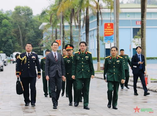 Thứ trưởng Bộ Quốc phòng Nhật Bản thăm Cục Gìn giữ hòa bình Việt Nam 