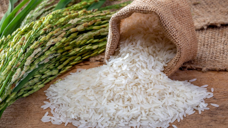Giá lúa gạo hôm nay (3-3): Tăng nhẹ trở lại