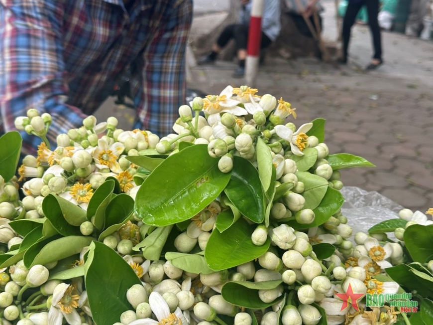 <a title="Báo Quân đội nhân dân | Tin tức quân đội, quốc phòng | Bảo vệ Tổ quốc" style="text-align:center;" href="https://www.qdnd.vn"><img src="https://file3.qdnd.vn/data/images/0/2021/08/11/linh/bannerv2.png" class="vllogo"></a>