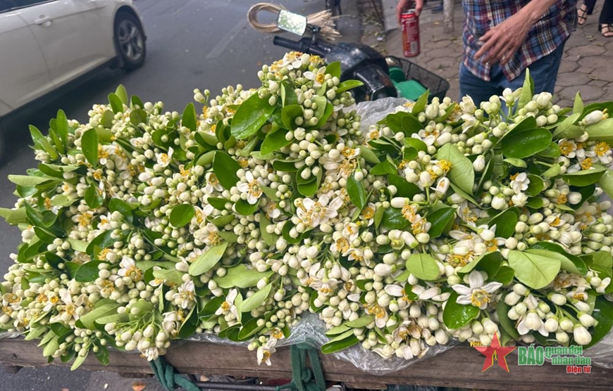 <a title="Báo Quân đội nhân dân | Tin tức quân đội, quốc phòng | Bảo vệ Tổ quốc" style="text-align:center;" href="https://www.qdnd.vn"><img src="https://file3.qdnd.vn/data/images/0/2021/08/11/linh/bannerv2.png" class="vllogo"></a>