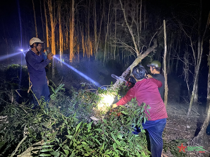 Cà Mau: Đám cháy tiếp tục lan ra diện tích khu rừng 100ha