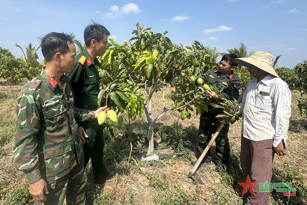 “An cư lạc nghiệp” trên vùng biên Ea Súp