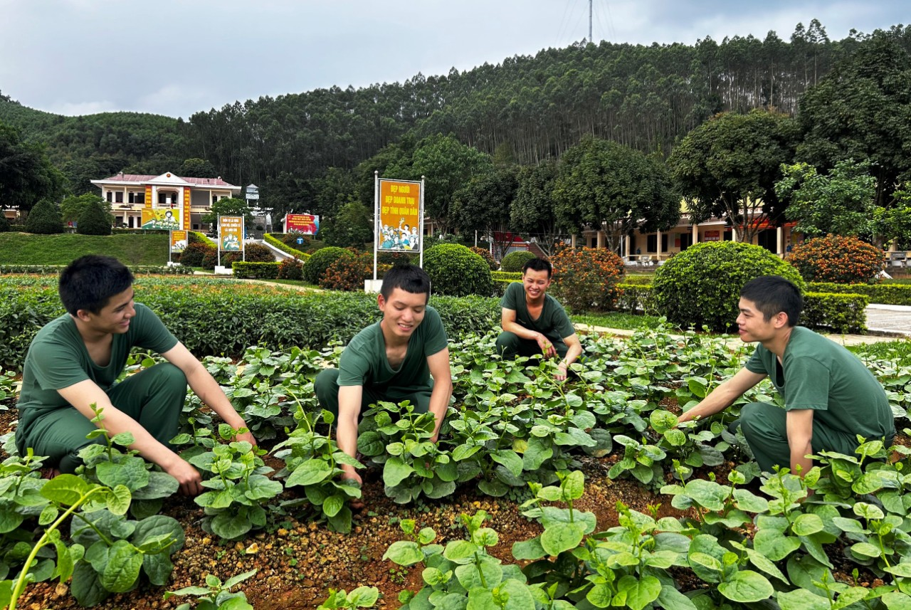 Giúp chiến sĩ mới là đảng viên khẳng định mình

