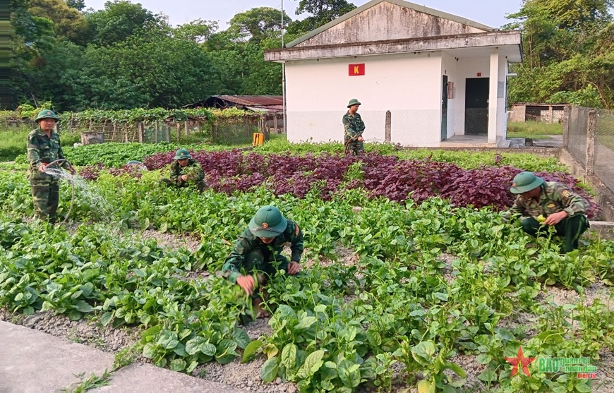 Hoa nở trên đá, rau trên đầm lầy ở đồn “4 không”
