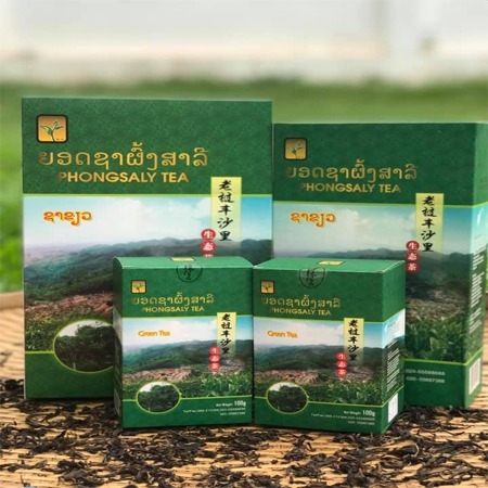 Vườn trà 400 tuổi tại Phongsaly, Lào hấp dẫn du khách