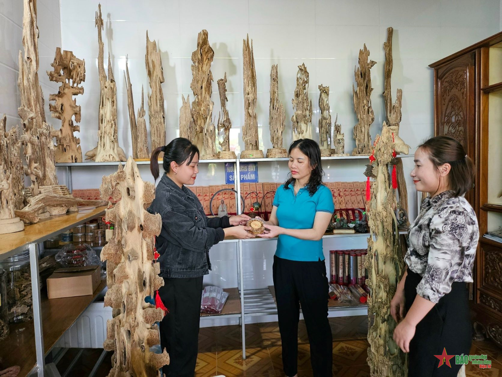 Miền núi Hà Tĩnh làm giàu từ cây dó trầm