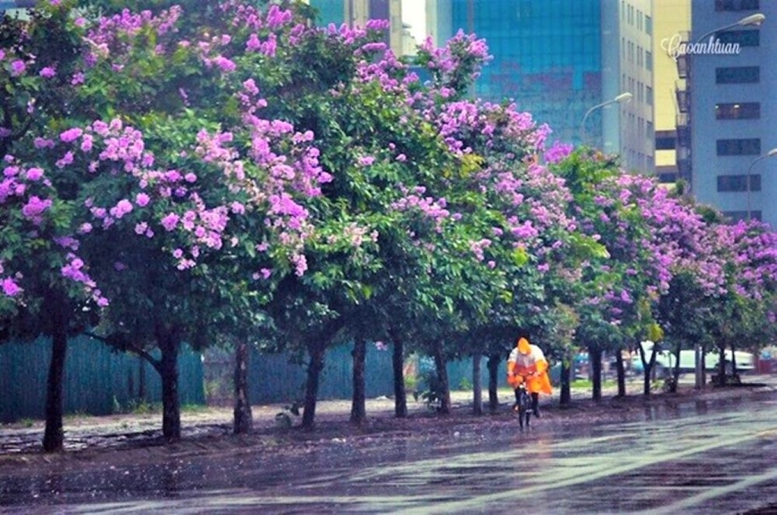 Thời tiết hôm nay (3-5): Bắc Bộ và nhiều nơi có mưa to