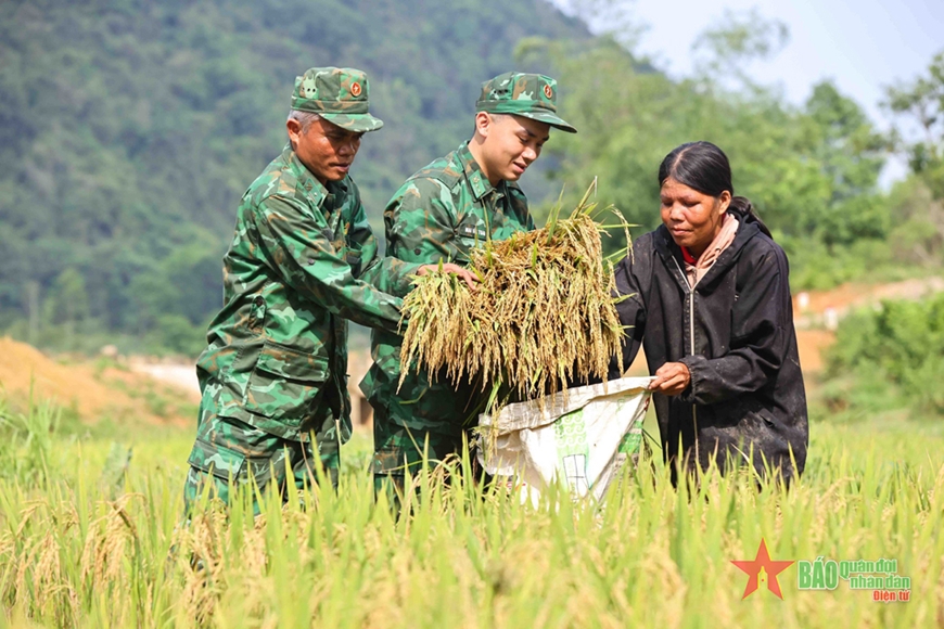 Đồn Biên phòng Hướng Lập giúp đồng bào Vân Kiều thu hoạch lúa
