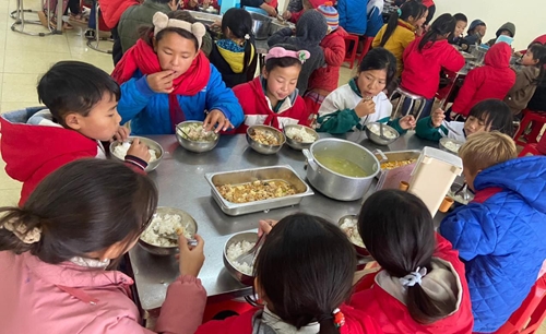Làm gì để bảo đảm chất lượng bữa ăn học đường?- Bài 1: Ngộ độc thực phẩm và bữa ăn “lèo tèo” 