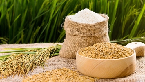 Giá lúa gạo hôm nay (17-5): Giá gạo xuất khẩu tăng 1 - 5 USD/tấn