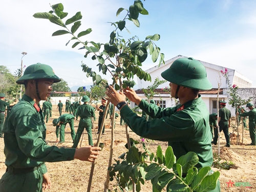 Bộ CHQS tỉnh Bình Thuận trồng cây hơn 50.000 cây xanh mừng sinh nhật Bác