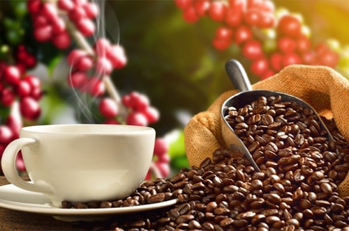 Giá cà phê hôm nay (20-5): Theo đà tăng mạnh