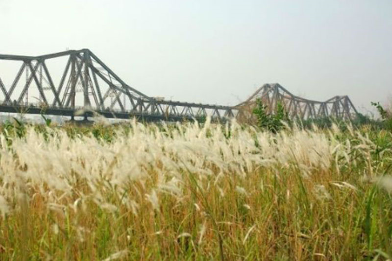 Tìm ý tưởng giải nhiệt 