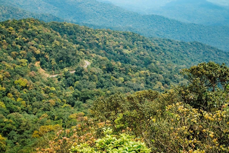 Tín chỉ carbon: Tiềm năng và lợi ích