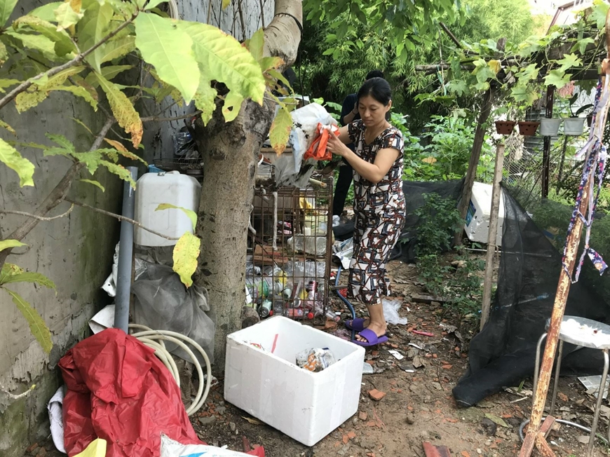 TP Hồ Chí Minh: Số ca mắc sốt xuất huyết sẽ tăng khi mùa mưa bắt đầu