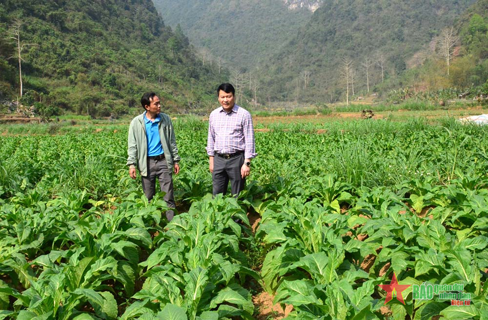 Huy động nhiều nguồn lực xây dựng nông thôn mới ở Hòa An