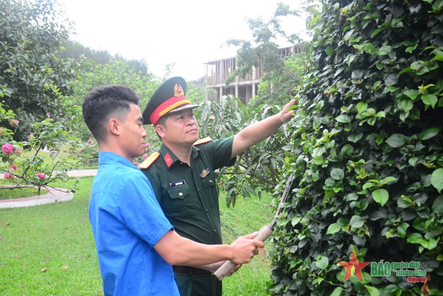 Trí thức trẻ tình nguyện xây dựng cảnh quan, môi trường