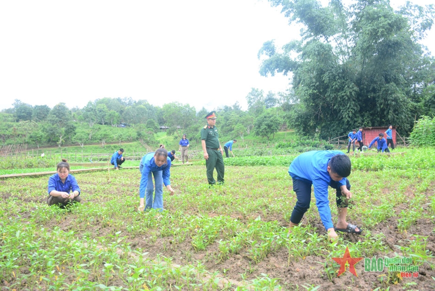 Trí thức trẻ tình nguyện xây dựng cảnh quan, môi trường