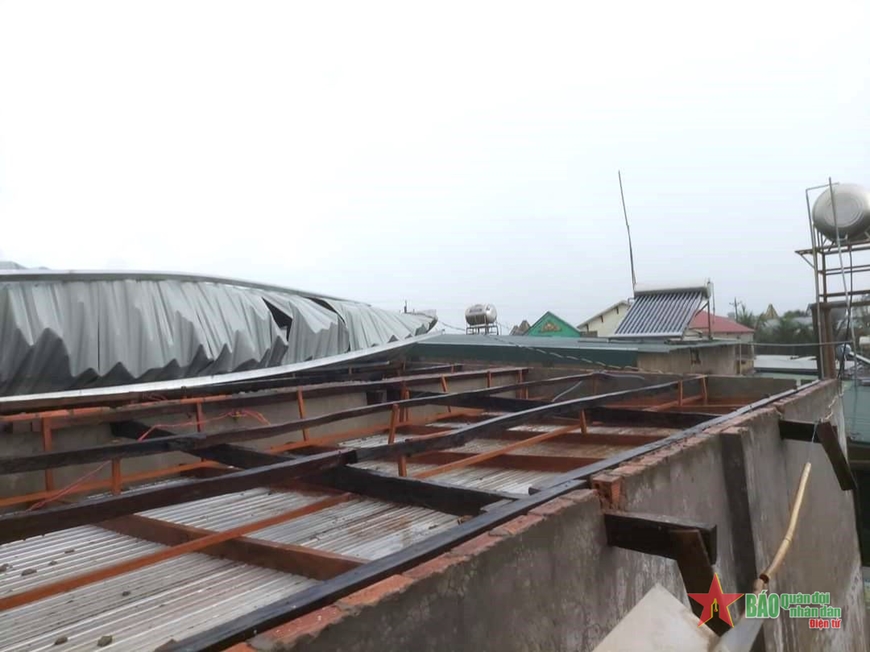 Nhiều diện tích cây ăn trái tại Lâm Đồng bị thiệt hại nặng do mưa lớn