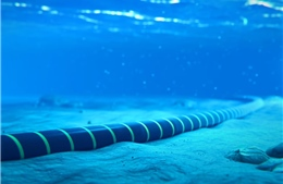 Ba tuyến cáp quang trên biển gặp sự cố ảnh hưởng chất lượng internet