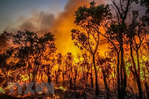 Bắc Bộ và Trung Bộ nắng nóng kéo dài, nguy cơ hỏa hoạn, cháy rừng