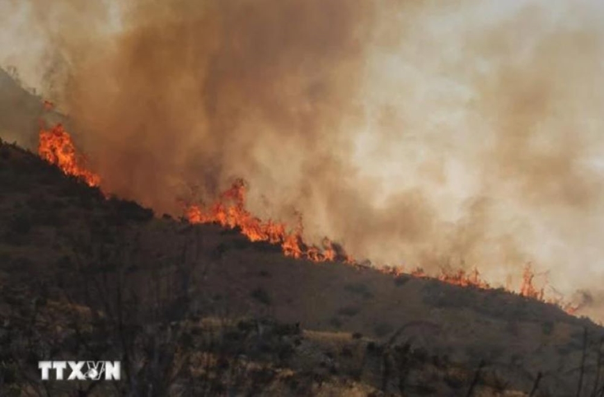 Mỹ: Cháy rừng dữ dội tại bang California, hơn 1.000 người phải sơ tán