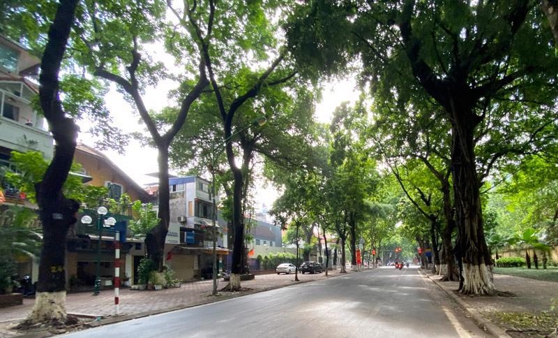 Thời tiết hôm nay (24-6): Hà Nội mưa dông, trời mát