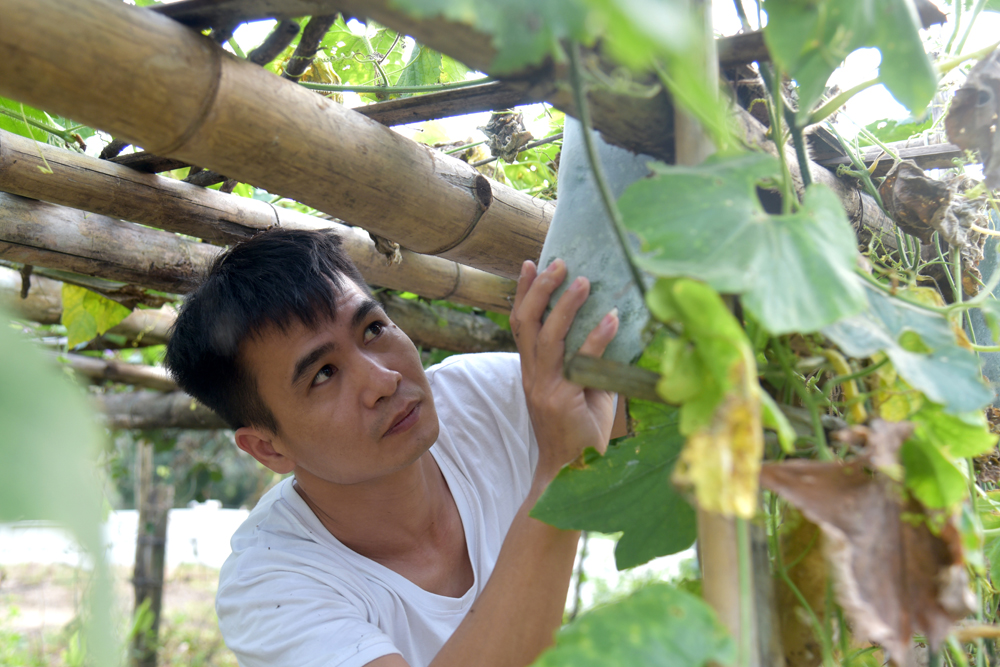 Ống kính bạn đọc: Vượt khó tăng gia giỏi