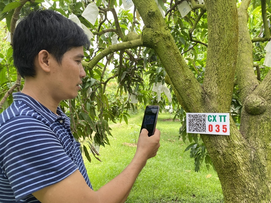 Nông nghiệp Đồng bằng sông Cửu Long: Thực hiện chuyển đổi số để tăng trưởng xanh, bền vững