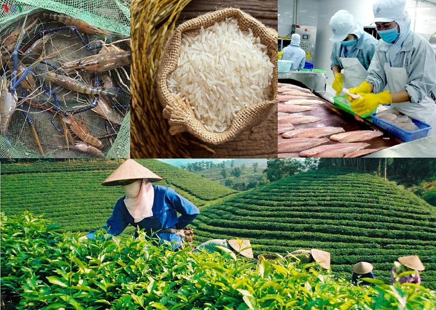 Bảo vệ nhãn hiệu đặc sản địa phương