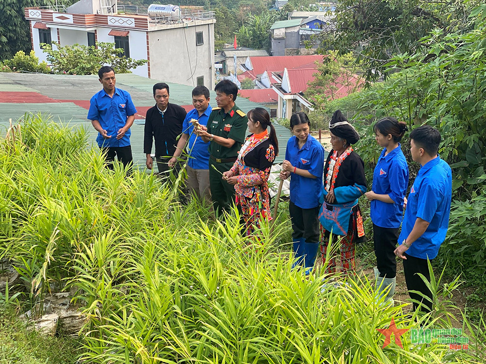 Chung tay giúp dân xóa đói nghèo