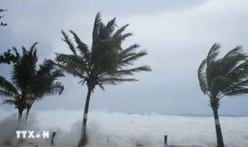 Ít nhất 6 người thiệt mạng do siêu bão Beryl, Caribe tiếp tục báo động