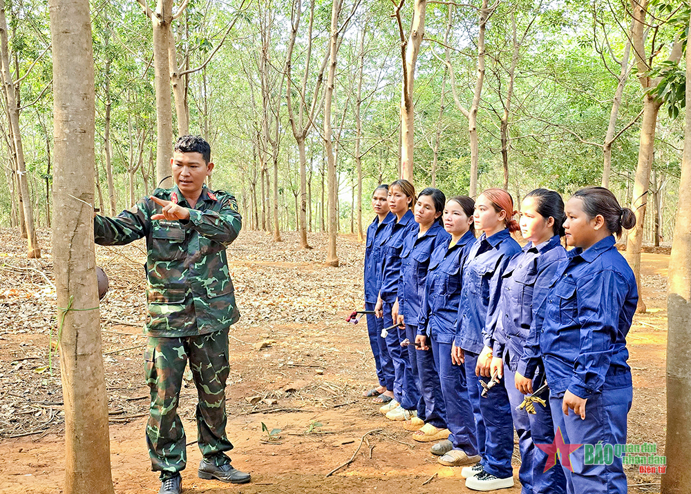 “Lực hút” từ công tác Đoàn