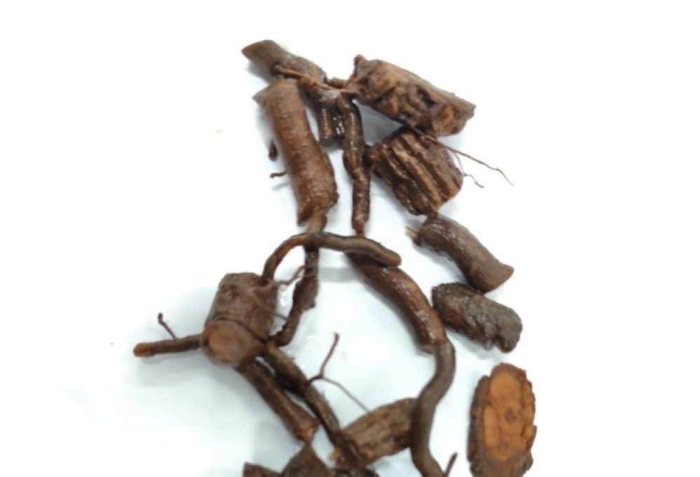 Một bệnh nhân tử vong do uống rễ cây sắc để chữa bệnh