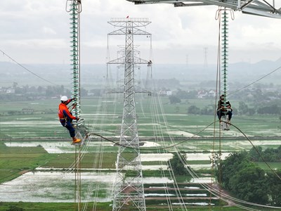 View - 	Trên công trường đường dây 500kV mạch 3