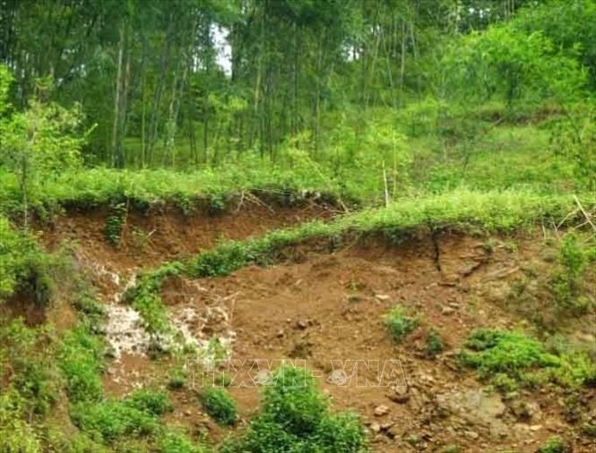 Thanh Hóa: Chủ động ứng phó bão số 2 và mưa lũ