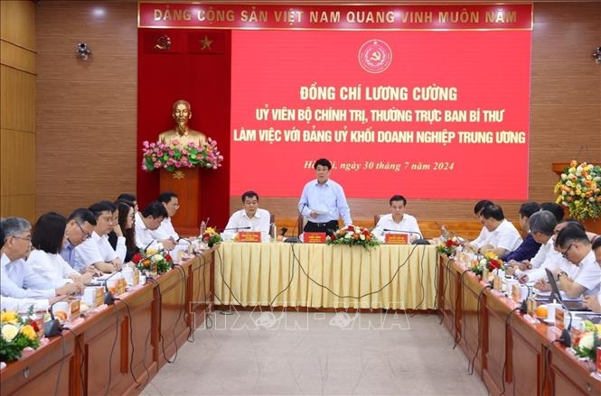 Thường trực Ban Bí thư Lương Cường làm việc với Đảng ủy Khối Doanh nghiệp Trung ương