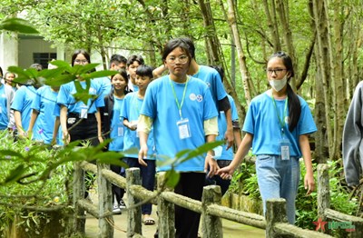 View - 	Sôi nổi hội trại “Ước mơ xanh” dành cho thiếu nhi hoàn cảnh khó khăn