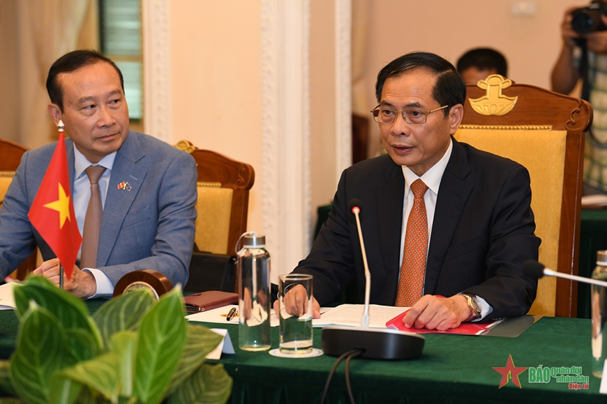 Bộ trưởng Bộ Ngoại giao Bùi Thanh Sơn hội đàm với Phó chủ tịch Ủy ban châu Âu