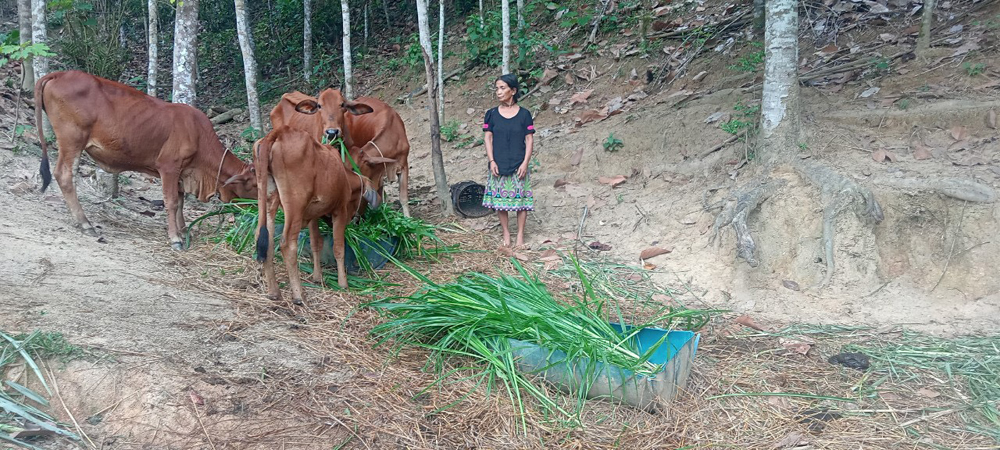 Thay đổi thói quen chăn nuôi lạc hậu