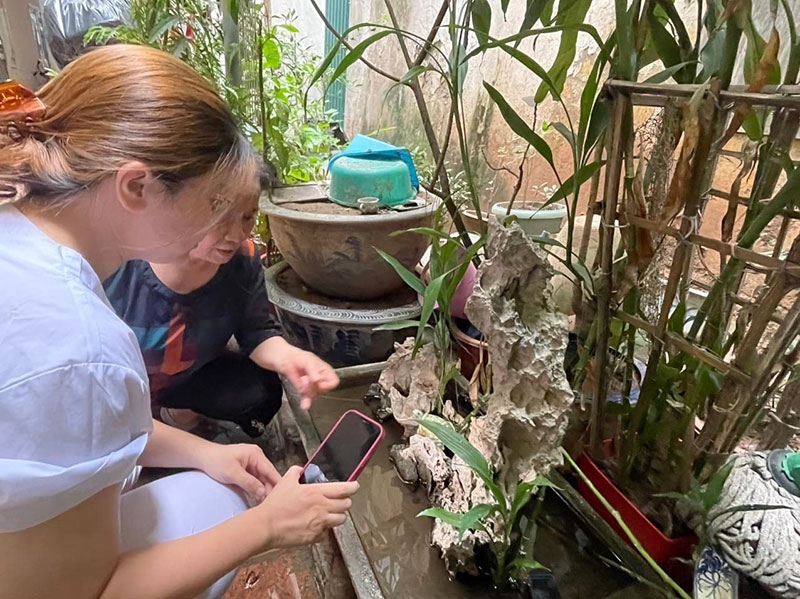 Hà Nội: Dịch sốt xuất huyết tăng mạnh