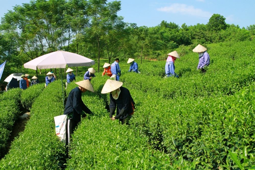 Masan đẩy mạnh sử dụng năng lượng tái tạo