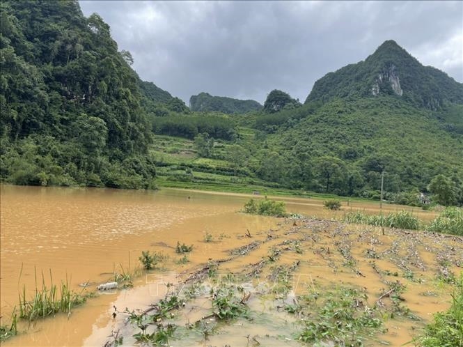 Cao Bằng: Mưa to làm ngập úng cục bộ, sạt lở đất