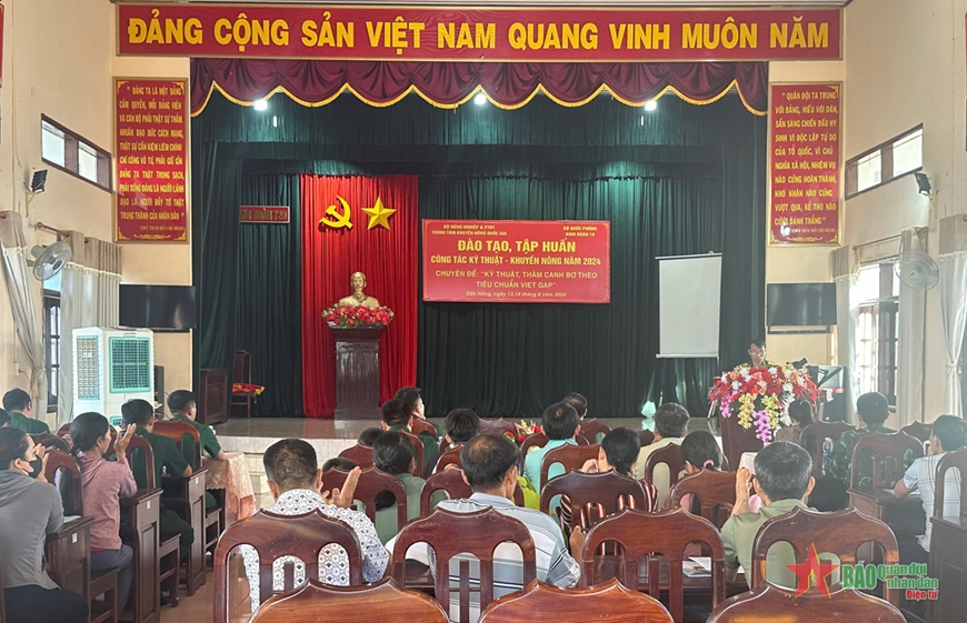 Binh đoàn 16 tập huấn công tác kỹ thuật, thâm canh vườn bơ theo tiêu chuẩn VietGAP