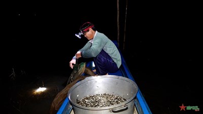 Gallery - 	Mưu sinh mùa nước nổi trên đầu nguồn biên giới An Giang