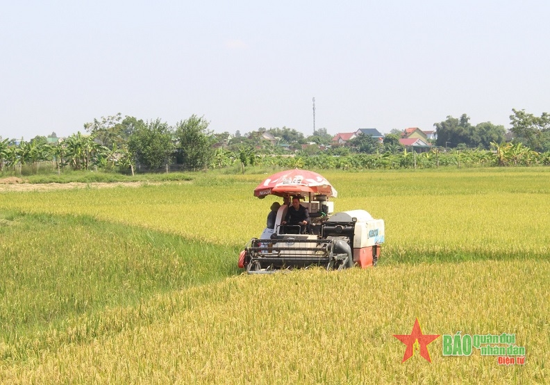 Khơi dậy hào khí Cách mạng Tháng Tám trên quê hương Xô viết