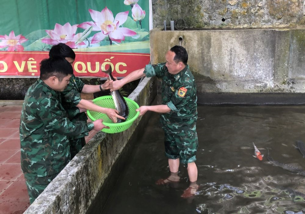 Nhiều mô hình tăng gia, sản xuất hiệu quả của Bộ đội Biên phòng