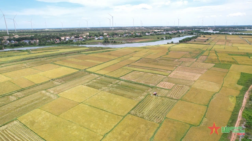 Quảng Bình được mùa vụ Hè Thu
