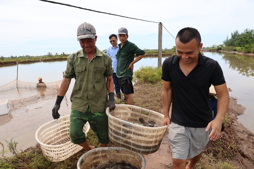 Nam Định nỗ lực bàn giao mặt bằng dự án trọng điểm